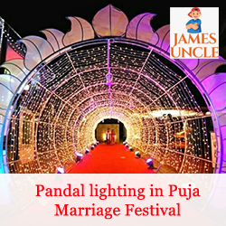 Pandal lighting in Puja Marriage Festival Mr. Rahul Paik in Cossipore